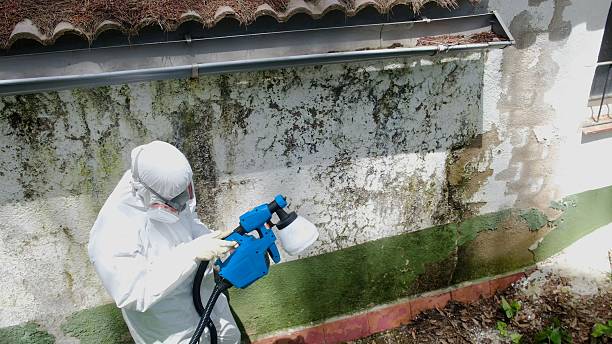 Top rated local Bathroom Mold Removal specialists in Lilly, PA